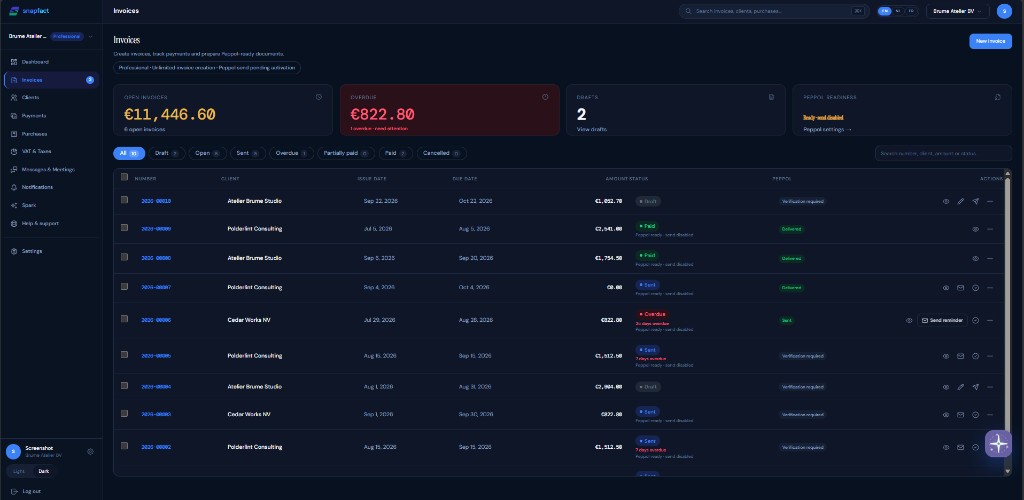 Snapfact invoices — open, overdue and Peppol status